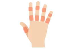 両手の指（指毛）料金