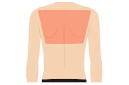 背中（上）料金