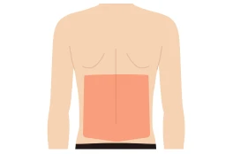背中（下）料金