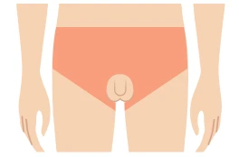 Vライン脱毛（陰毛周辺）料金