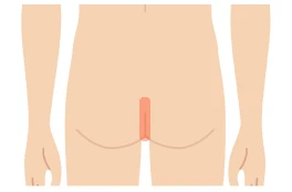 Oライン脱毛（肛門周辺）料金